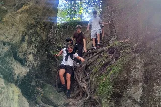 Harmonizák D1