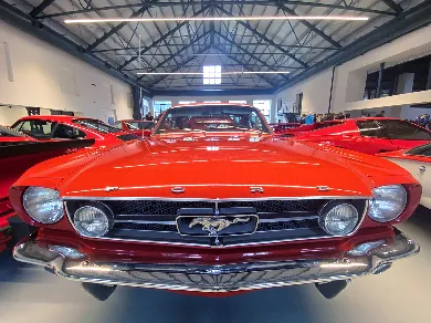 Automoto Muzeum Lučany